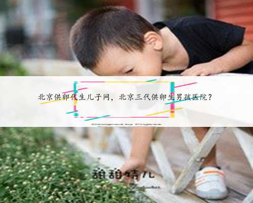 北京供卵代生儿子网，北京三代供卵生男孩医院？
