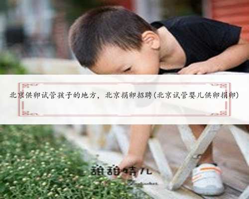 北京供卵试管孩子的地方，北京捐卵招聘(北京试管婴儿供卵捐卵)