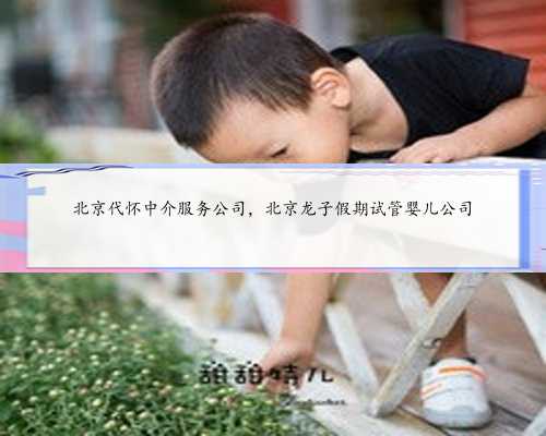 北京代怀中介服务公司，北京龙子假期试管婴儿公司