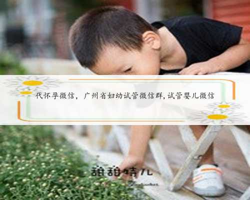 代怀孕微信，广州省妇幼试管微信群,试管婴儿微信