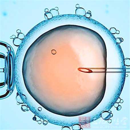 子宫小输卵管发育不良，养宠物影响怀孕吗