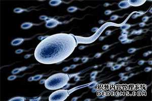 供卵试管生儿子咨询,中国代怀中心,代生需要什么证件