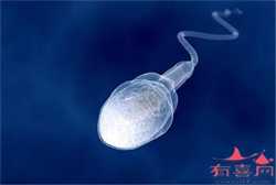 北京借卵包男孩，妻子可以擅自打胎，为何丈夫不能单方废弃胚胎？