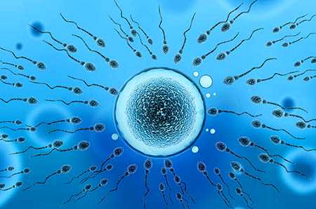 有多囊卵巢同房会怀孕吗,多囊卵巢综合症能同房吗 详细介绍多囊和同房的关系