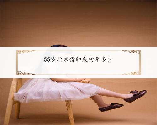 55岁北京借卵成功率多少