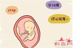 北京圆梦助孕代怀，记录我的北京家圆医院试管婴儿流程