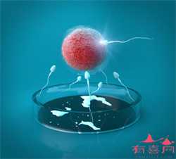 北京混血模特捐卵，北京治疗卵巢早衰医院有哪些