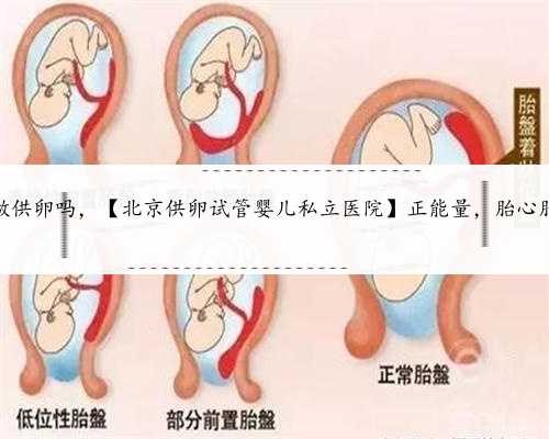 北京公立医院能做供卵吗，【北京供卵试管婴儿私立医院】正能量，胎心胎芽都