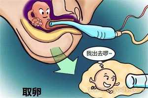 北京最靠谱的助孕中心,北京供卵私立试管医院排名，附试管助孕成功率一览！