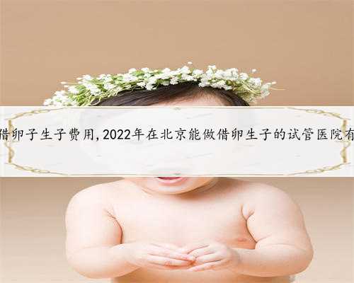 北京借卵子生子费用,2022年在北京能做借卵生子的试管医院有哪些