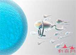 北京供卵生殖中心网站,北京哪家私立生殖医院可以做供精供卵试管？附医院详