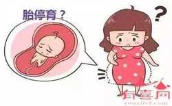 北京供卵不用排队医院,北京协和医院做一次供卵试管要花多少钱？