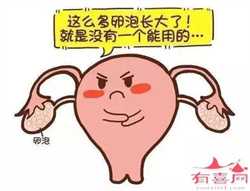北京正规试管供卵机构,2023北京哪里有可以供卵的医疗机构?求医院地址!