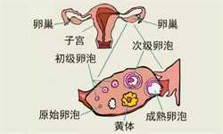 北京有没有代孕妈妈,北京的代孕机构排名怎么样？附试管代孕？