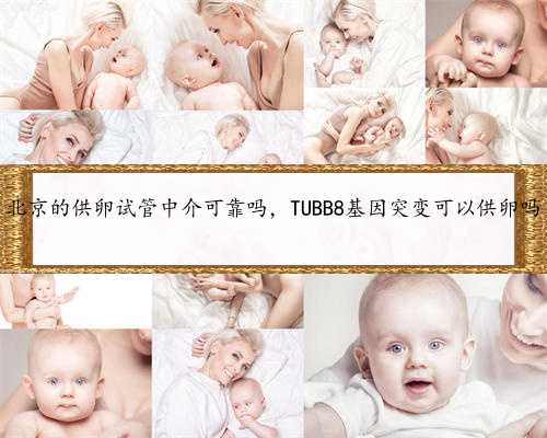 北京的供卵试管中介可靠吗，TUBB8基因突变可以供卵吗
